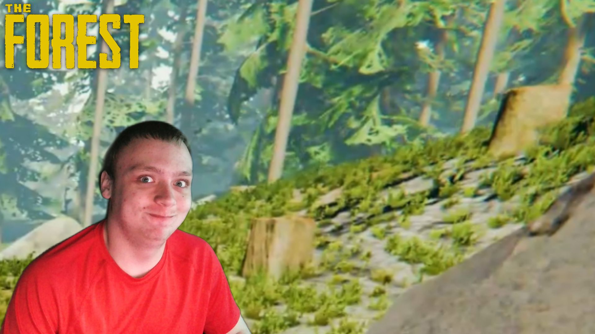 Лесорубим-подрываем The Forest #5