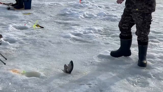 18.03.26 г. РК Волна. смотреть онлайн