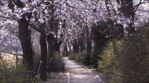 Секретный код. Напишите это 19 марта.