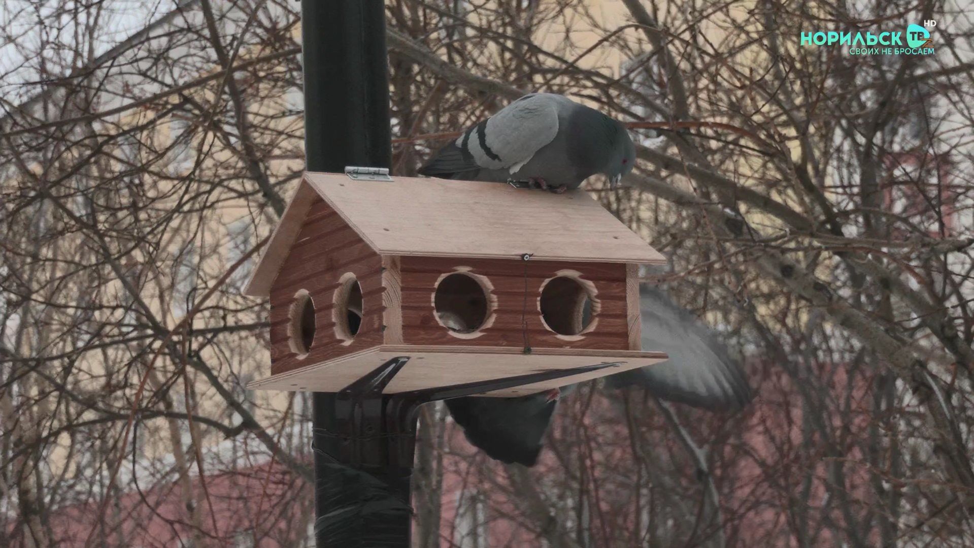 Норильские новости - 09.02.2026