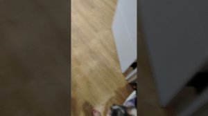 Делаю не знаю что