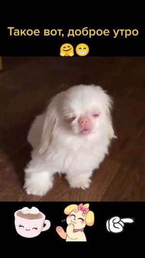 Поднять - подняли, а разбудить?.. 🤣