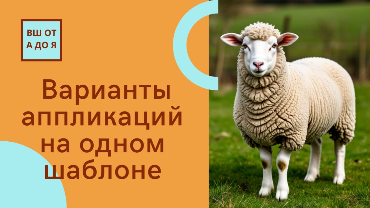 Наглядные пособия