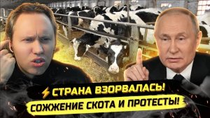 ⚡️ ВСЯ ПРАВДА О СОЖЖЕНИИ СКОТА ИЛИ ПОЧЕМУ ЛЮДИ ОТКАЗЫВАЮТСЯ ПОКУПАТЬ ПРОДУКЦИЮ АГРОХОЛДИНГОВ?