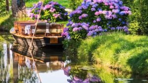 Целебная_музыка_для_сердца_и_сосудов__успокаивает_нервную_систему_и_радует_душу