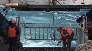 РОССИЙСКИЕ РЫБАКИ ПОЙМАЛИ ПОЧТИ МИЛЛИОН ТОНН ВОДНЫХ БИОРЕСУРСОВ • НОВОСТИ КАМЧАТКИ