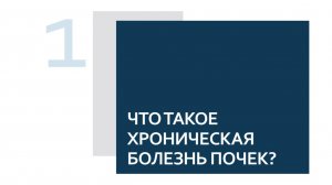 Школа здоровья для пациентов с ХБП. 1. Что такое ХБП?