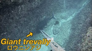 Плыл по морю и наткнулся на черный джити