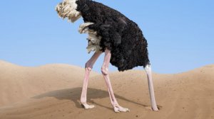 Какую проблему вы решили ? ОПЫТ ИЗ ЖИЗНИ  . ПОХВАСТАЕМСЯ.   ПОДПИШИСЬ