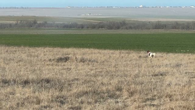 Кузя и заяц. 18.03.26 смотреть онлайн