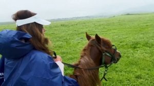 236. Вот Это Поворот! Дербент Азербайджанский Город и Россия Должна Вернуть Его.