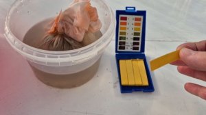 Как легко определить кислотность почв на своём участке