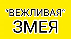 Душевная ГНИЛЬ Дисконт