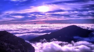 Найди меня папа