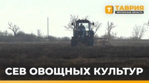 На Херсонщина началась подготовка к севу овощных культур