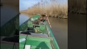 Как называется всё это?