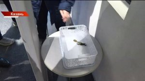 Новости Татарстана 17.03.2026