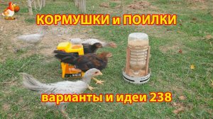 Кормушки и поилки для кур своими руками 238 🪚✂️ Пошаговая инструкция как сделать 🐔 🐓❣️