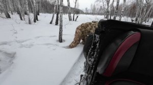 Солонцы спустя 4 года