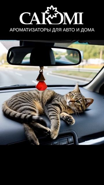 Даже кот оценил ароматизаторы Caromi😉