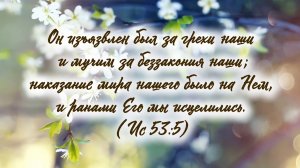 Терновый венок. Багряница и Кровь | христианская песня | Игорь Малюк