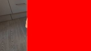 Счастье незрячей женщины: семья, свое дело и собака-поводырь