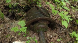 Отыскал металл в дремучем лесу