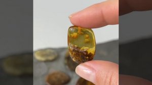 Янтарь коллекционный галтовка