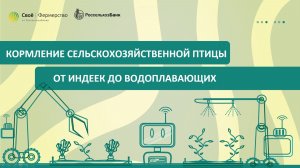 Кормление сельскохозяйственной птицы: от индеек до водоплавающих