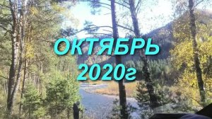 Страницы 2020 010 серия 34-я