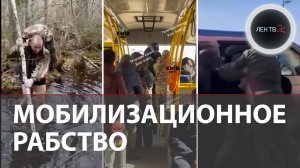 Мобилизованное рабство на Украине продолжается | Зеленский просит партнеров не забывать про Украину