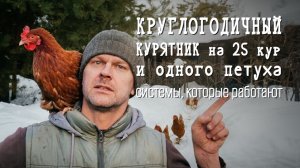 Обзор КРУГЛОГОДИЧНОГО КУРЯТНИКА: как я уезжаю на недели и не переживаю 🐓🐔🐥