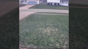 😱😱😱Взрыв метеорита над штатом Огайо,мощность 250 тонн в тротиловом эквиваленте.