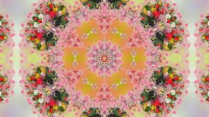 Весна! Очаровательные тюльпаны 6! Киностудия Мудрого Кота Тимофея!