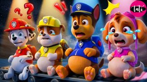 Щенячий патруль и Маршалл. Залипательное видео. Мультфильм для детей и малышей. Анимация 388