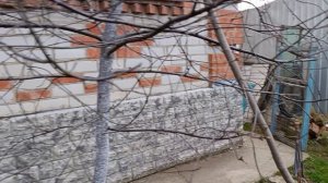 Весна пришла