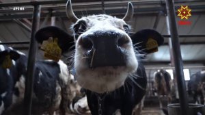 Финанс министерствин анлă ларăвĕнче цифра активне ĕçе кĕртме сенчĕç