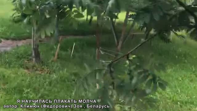 Я НАУЧИЛАСЬ ПЛАКАТЬ МОЛЧА ..