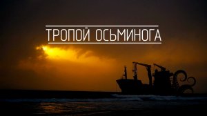 Тропа Осьминога. Ущелье Плачущих Душ. Находка и её окрестности. Прокатимся #gopro #DJI #sony