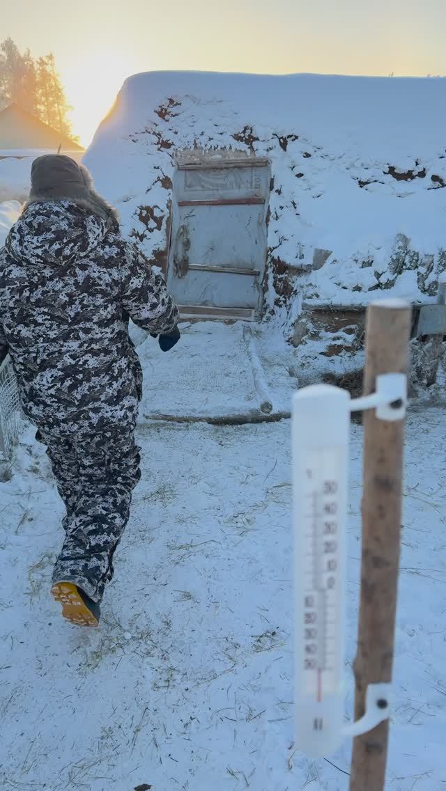Водопой коров🐮 в -50°С❄️