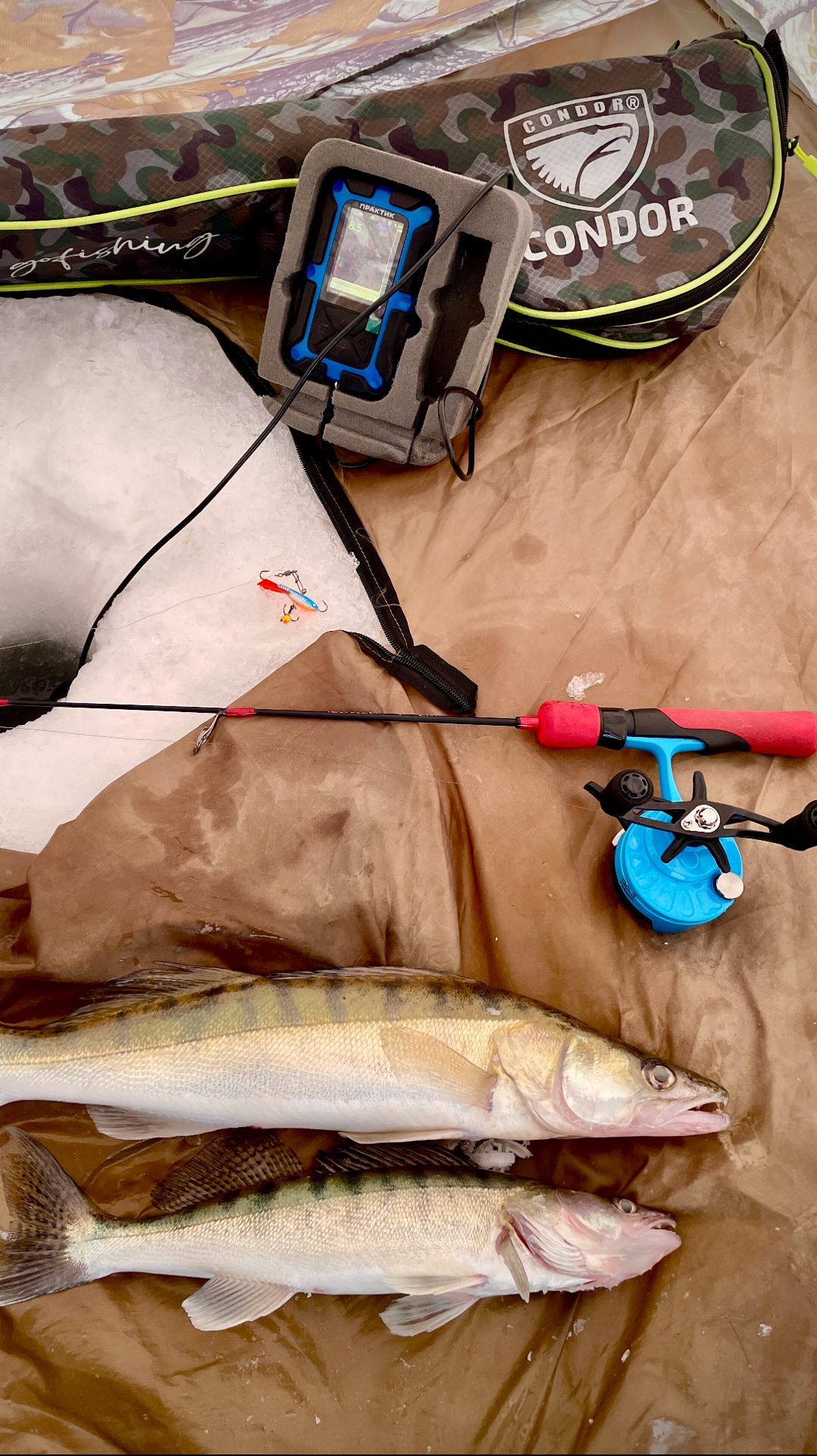 Судачок на зимней рыбалке