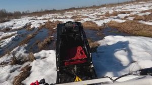 Журчат ручьи, слепят лучи, и тает лёд...