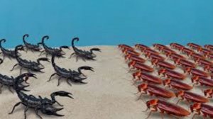 10 скорпионов против 100 тараканов! Кто победит