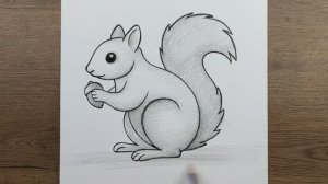 Как легко и просто нарисовать милую белку карандашом — пошаговая инструкция