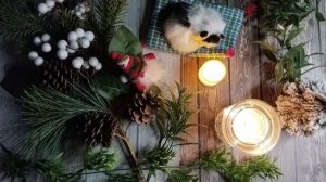 Почему мужик отказался жениться на царевне, и оркестр из зверей! Сказки на ночь, или же Гриммы №5