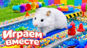 НОВЫЙ ОПАСНЫЙ ЛАБИРИНТ ДЛЯ ХРАБРОГО И УМНОГО ХОМЯКА 🐹🏆 ВИДЕО ДЛЯ ДЕТЕЙ ! ЧАСТЬ 9