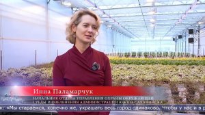 17.03.2026 В Южно-Сахалинске готовятся к летнему озеленению