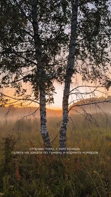 #nature #природныепейзажи #природа #путешествия #sunset