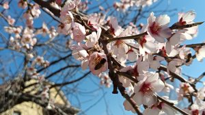 Анапа 18 марта