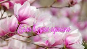 Если в душе одиноко